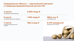 Создание производства по глубокой переработке картофеля в Свердловской области - ознакомительный фрагмент презентации - 3